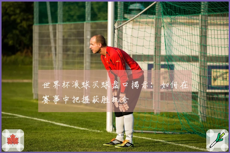 世界杯滚球买球盘口揭示：如何在赛事中把握获胜机会