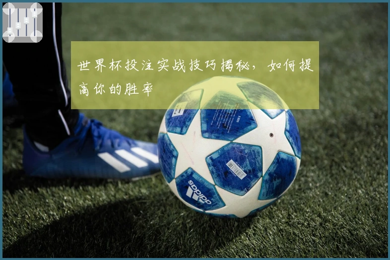 世界杯投注实战技巧揭秘，如何提高你的胜率