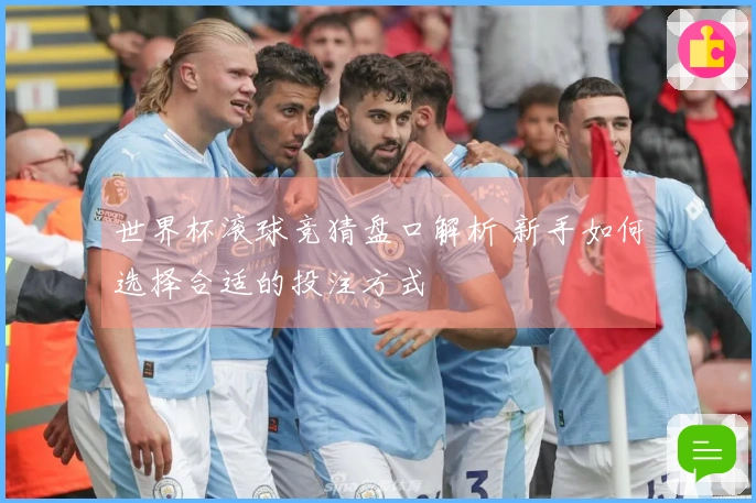 世界杯滚球竞猜盘口解析 新手如何选择合适的投注方式