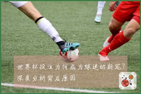 世界杯投注为何成为球迷的新宠？深度分析背后原因