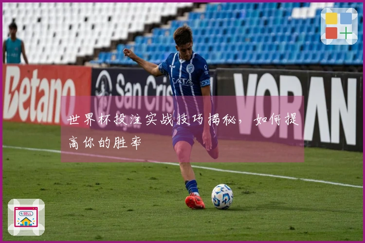 世界杯投注实战技巧揭秘，如何提高你的胜率