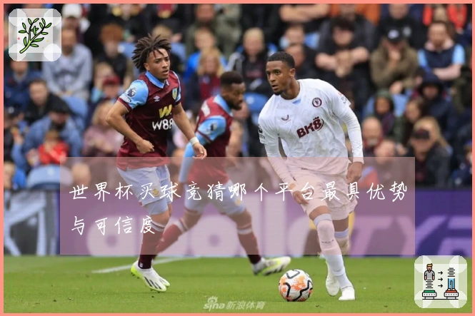 世界杯买球竞猜哪个平台最具优势与可信度